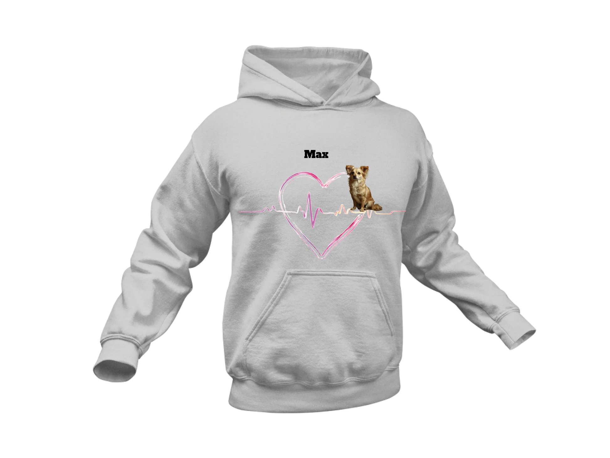 Hoodie Ash #C8C9C7